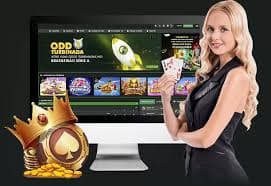 bet33